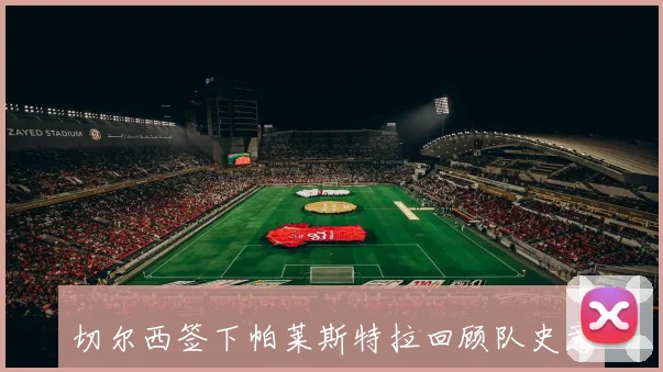 切尔西签下帕莱斯特拉回顾队史意大利球员维亚利与佐拉的辉煌岁月