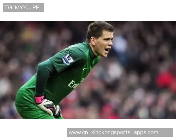 什琴斯尼回忆与温格的隔阂：安于现状的我错失了机会